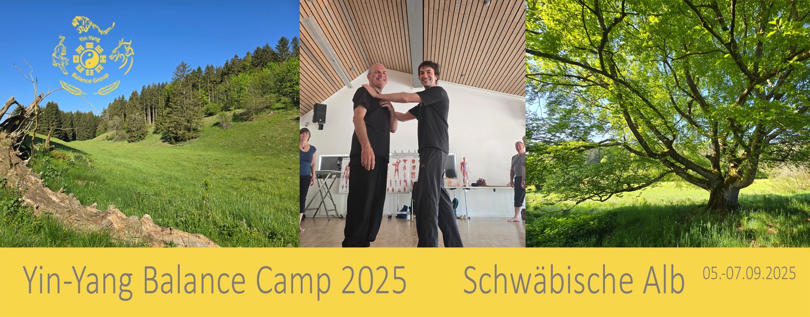 Yin-Yang Balance Camp 2025